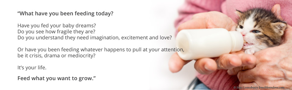 Live A Life You Love Quotes